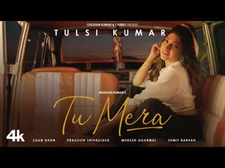 Tulsi Kumar: Tu Mera (Truly Konnected) | Zaan Khan | Prasoon S, Mukesh A | Sumit B | Bhushan Kumar