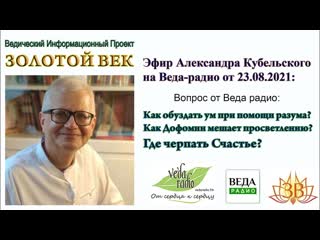Как обуздать ум при помощи разума Как Дофомин мешает просветлению Где черпать Счастье Веда-радио