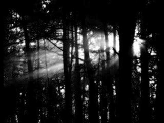 Eisheilig - Bei Dir
