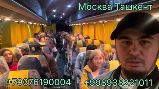 Москва Ташкент автобус  #узбекистан #россия #янгиликлар #таджикистан  #москваташкентавтобус