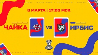 . Чайка  Ирбис | (1/8 Кубка Харламова)  Прямая трансляция