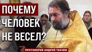 Нам не нужно радоваться фальшиво. Отец Андрей Ткачёв
