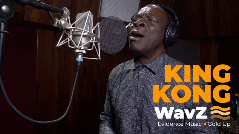 King Kong Little Lion Sound Morning, Wav Z Session Evidence Music Gold