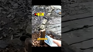 Урок от БАТИ на всю жизнь