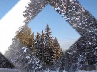 Метель метелица