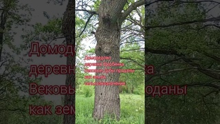деревня Щербинка Домодедово 500дубов проданы как земли сельхозназначения