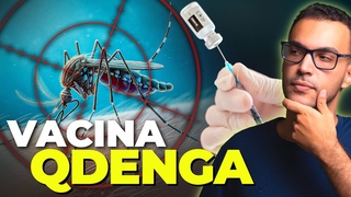 VACINA DA DENGUE: QDENGA | Tudo o que voc precisa saber