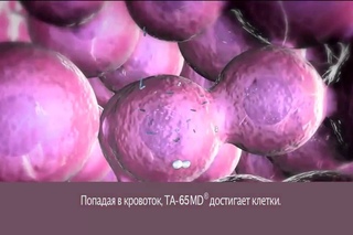 Что такое TA-65. Как омолаживает FINITI от Jeunesse