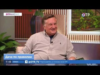 Дачные страшилки и реальная жизнь в СНТ
