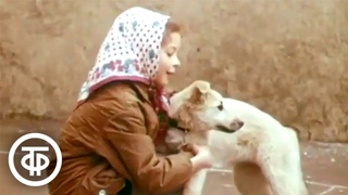 Я люблю животных (1974)