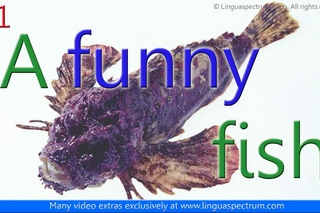 Fun and Funny. Learn English. One Minute English