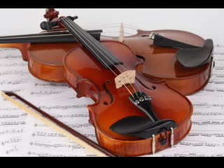 Лекция «Музыкальный инструмент скрипка – история и интересные факты»