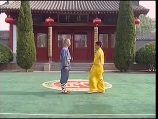 Shaolin 32 Methods of Qin Na