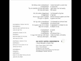 The Klezmatics & Chava Alberstein - Ikh shtey unter a bokserboyim