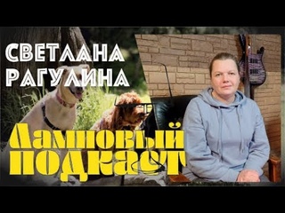 Ламповый подкаст №28. Волонтер.
