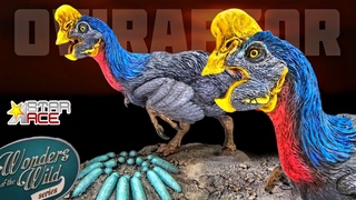 GORGEOUS Star Ace Wonders of the Wild Oviraptor Review!!!