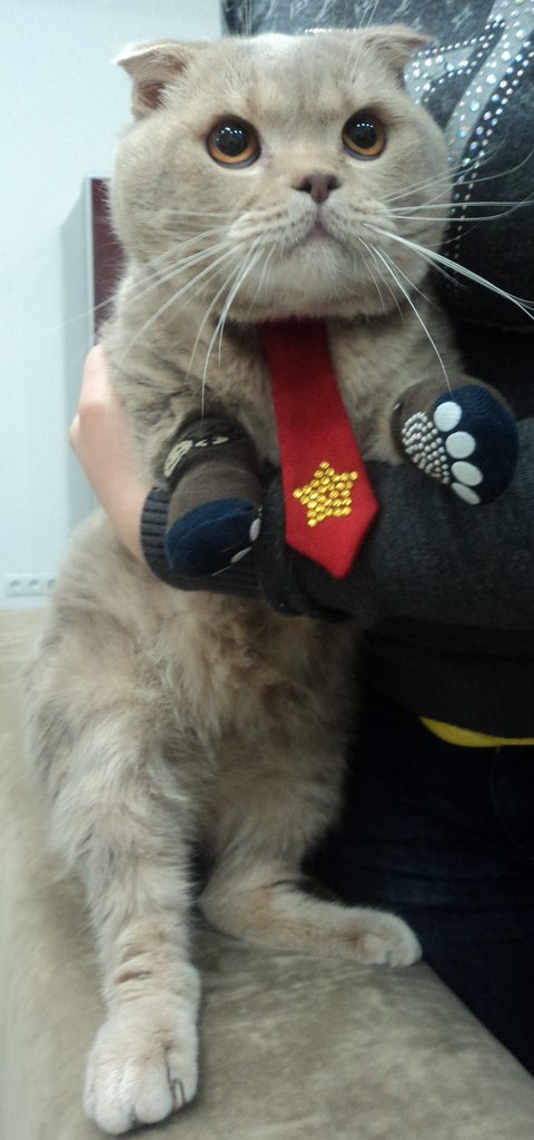 Мариша Якубовская | Мариуполь