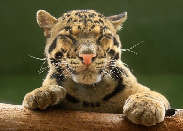 Настя Ласкина | Казань