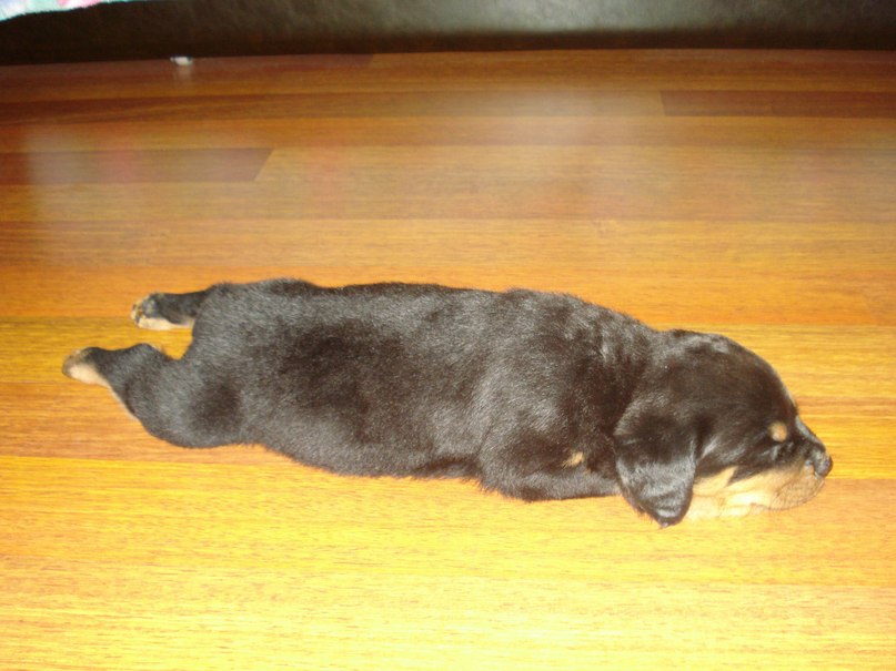 Сергей Михайлюк | Киев