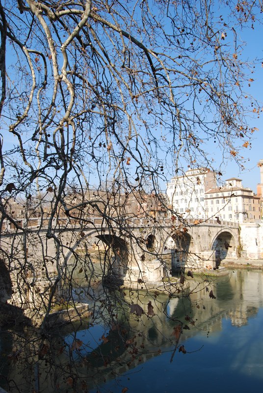 Анастасия Давыдова | Санкт-Петербург