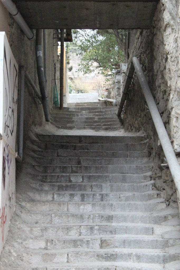 Катя Шереметева ***Grenouille heureuse*** | Nice