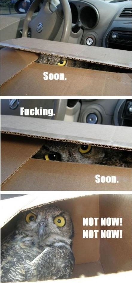 Александр Романович | Энгельс