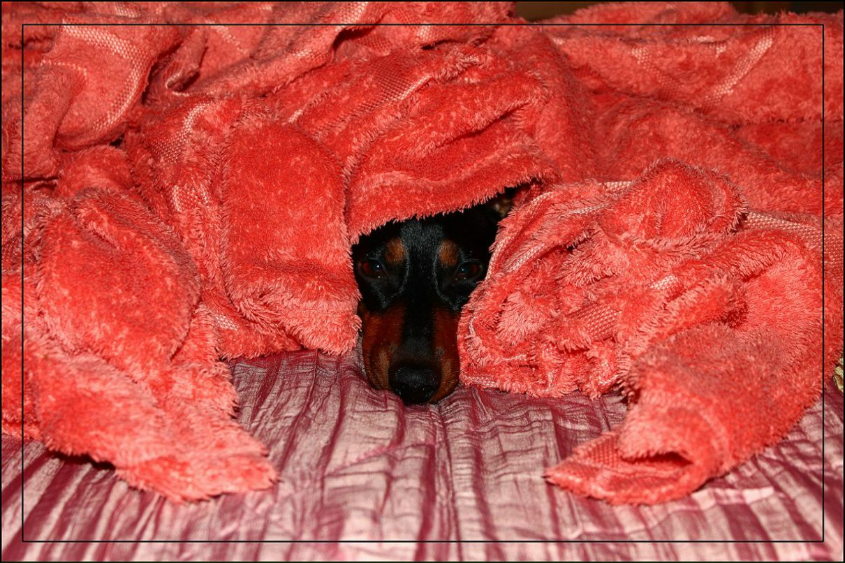 Юлия Соляник | Киев