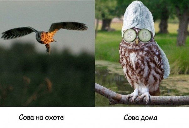 №14, Катюшка Энтина, Санкт-Петербург №14, Катюшка Энтина, Санкт-Петербург