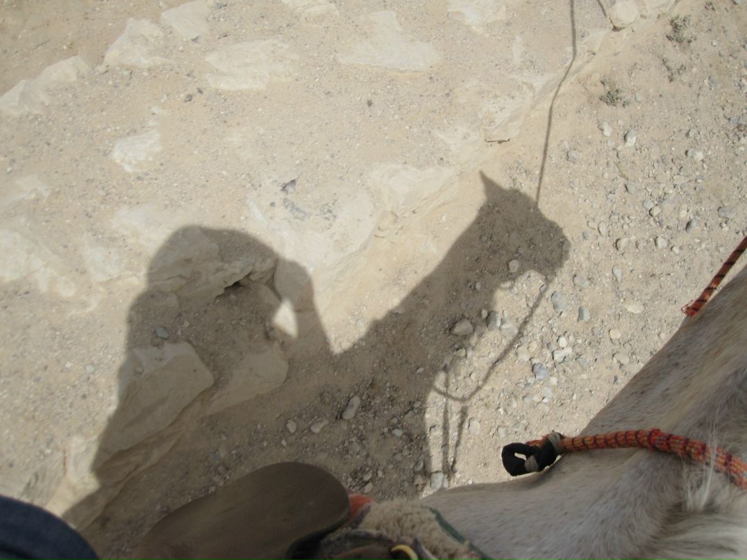 Елена Гуденко | Москва