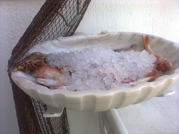 №45, Natallia Birych, 50 лет, Melbourne №45, Natallia Birych, 50 лет, Melbourne