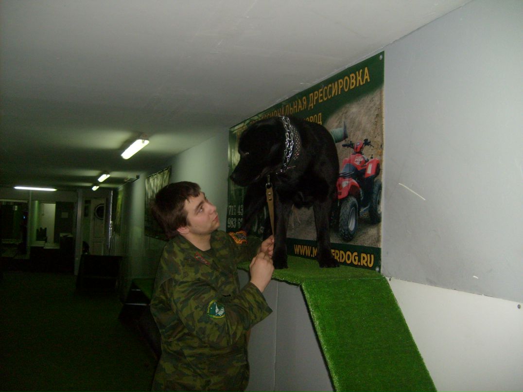 Илья Сочинский | Санкт-Петербург