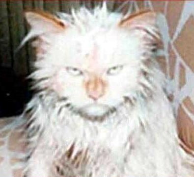 Егор Мотовилов | Красноярск