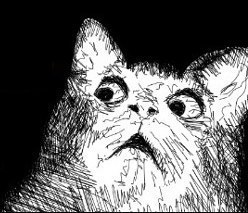 Александра Никитина-Борисова | Волгоград