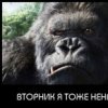 Аватар: Саня Лизгунов