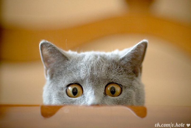 Митя Титов Vectorman Nightheaven | Нахабино