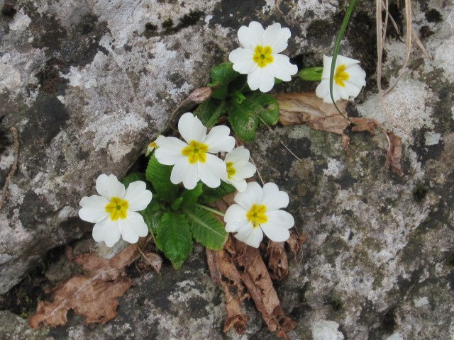 Татьяна Пономарева | Москва