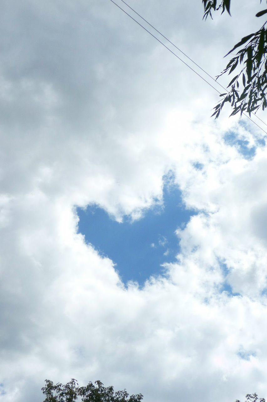 Ната-Shyher Бойко | Киев