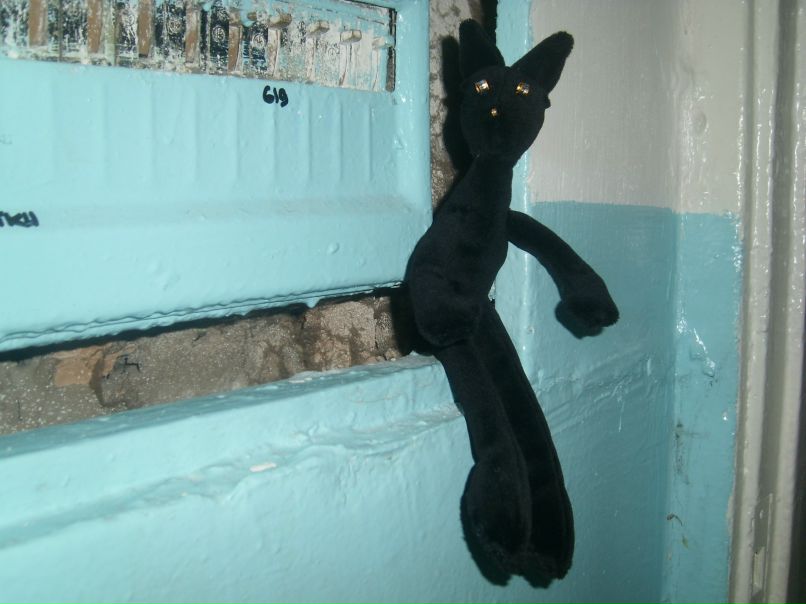 Марта Довган | Киев