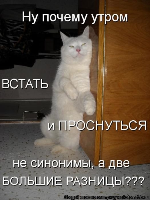 Ольга Валяева Евгеньевна | Ярославль