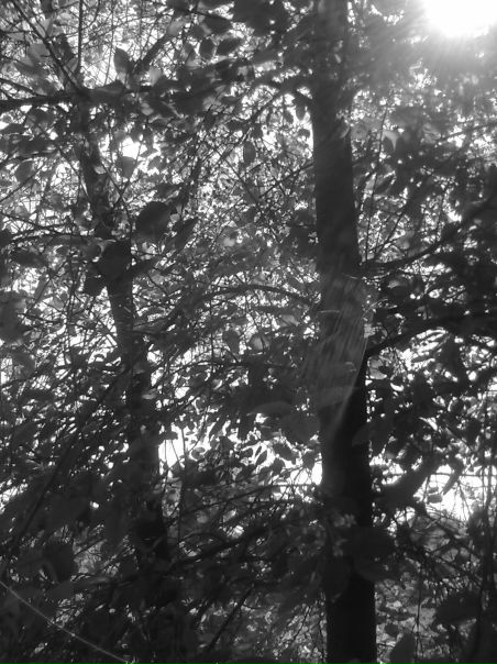 №45, Ірина Підгурська, 33 года, Винница №45, Ірина Підгурська, 33 года, Винница