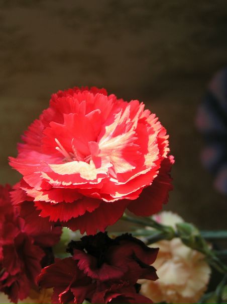 Роман Пузанков фото профиля #2