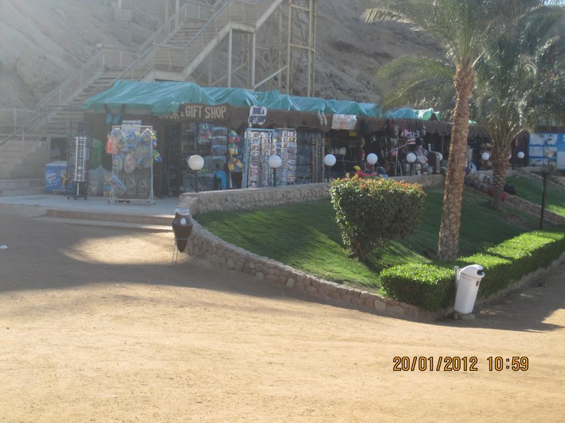 Жанна Левина | Щелково