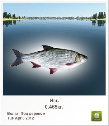 Сергей Алексеев | Санкт-Петербург