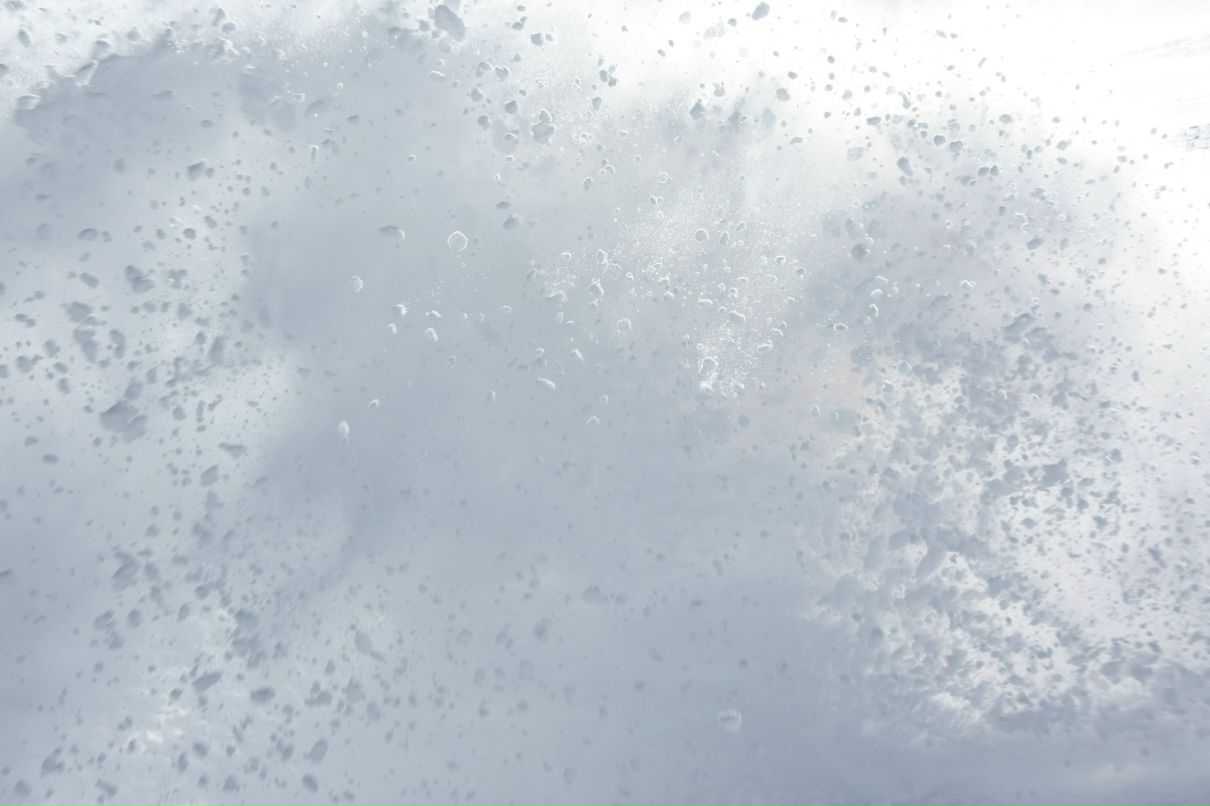 Алиса Радченко | Волгоград