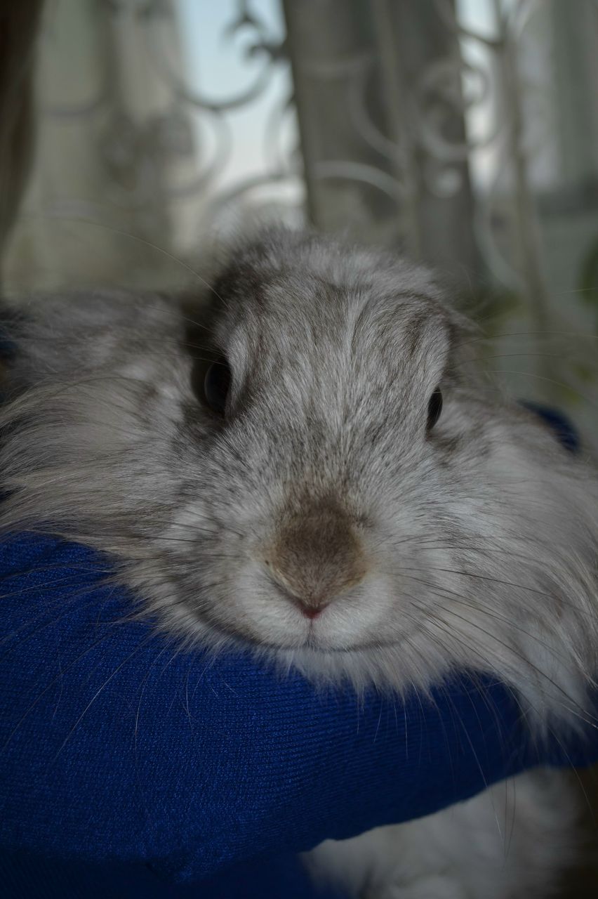 Котька Пилипенко ♥ | Киев