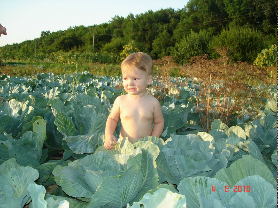 Евгений Гаврилов | Днепр (Днепропетровск)
