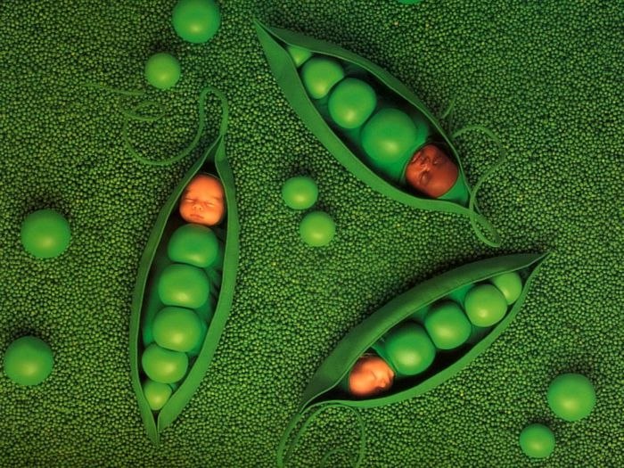 Ксения Гавричкова | Санкт-Петербург