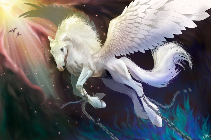 Илья Поляков Джонни | Тула