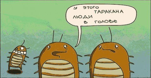 Анастасия Мухаметшина | Оренбург