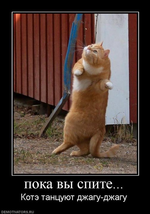 Анастасия Будилова | Киев